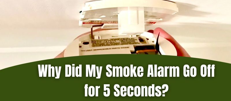 why-did-my-smoke-alarm-go-off-for-5-seconds-smoke-detector-expert